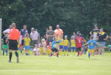 IMG_6282