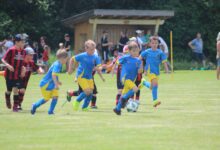 IMG_6295