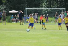 IMG_6337