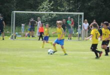 IMG_6345