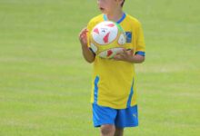 IMG_6371