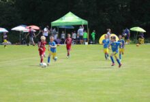 IMG_6459