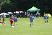 IMG_6460